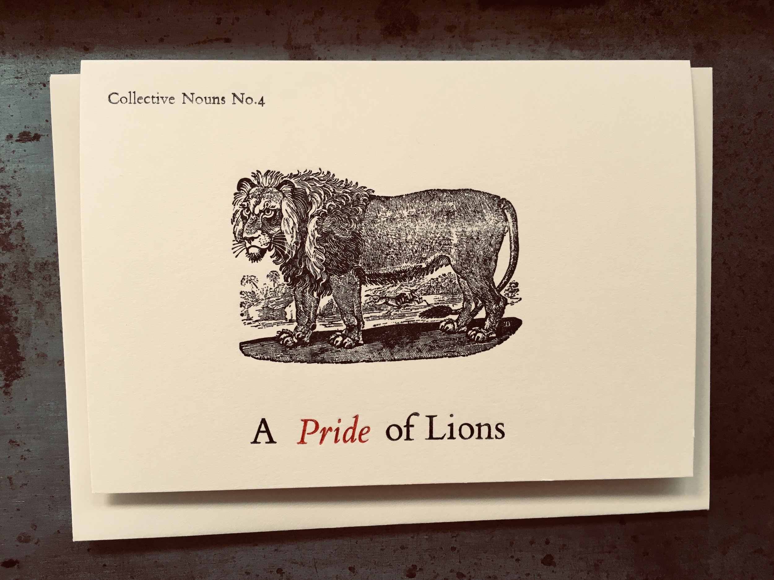 Lion.jpeg