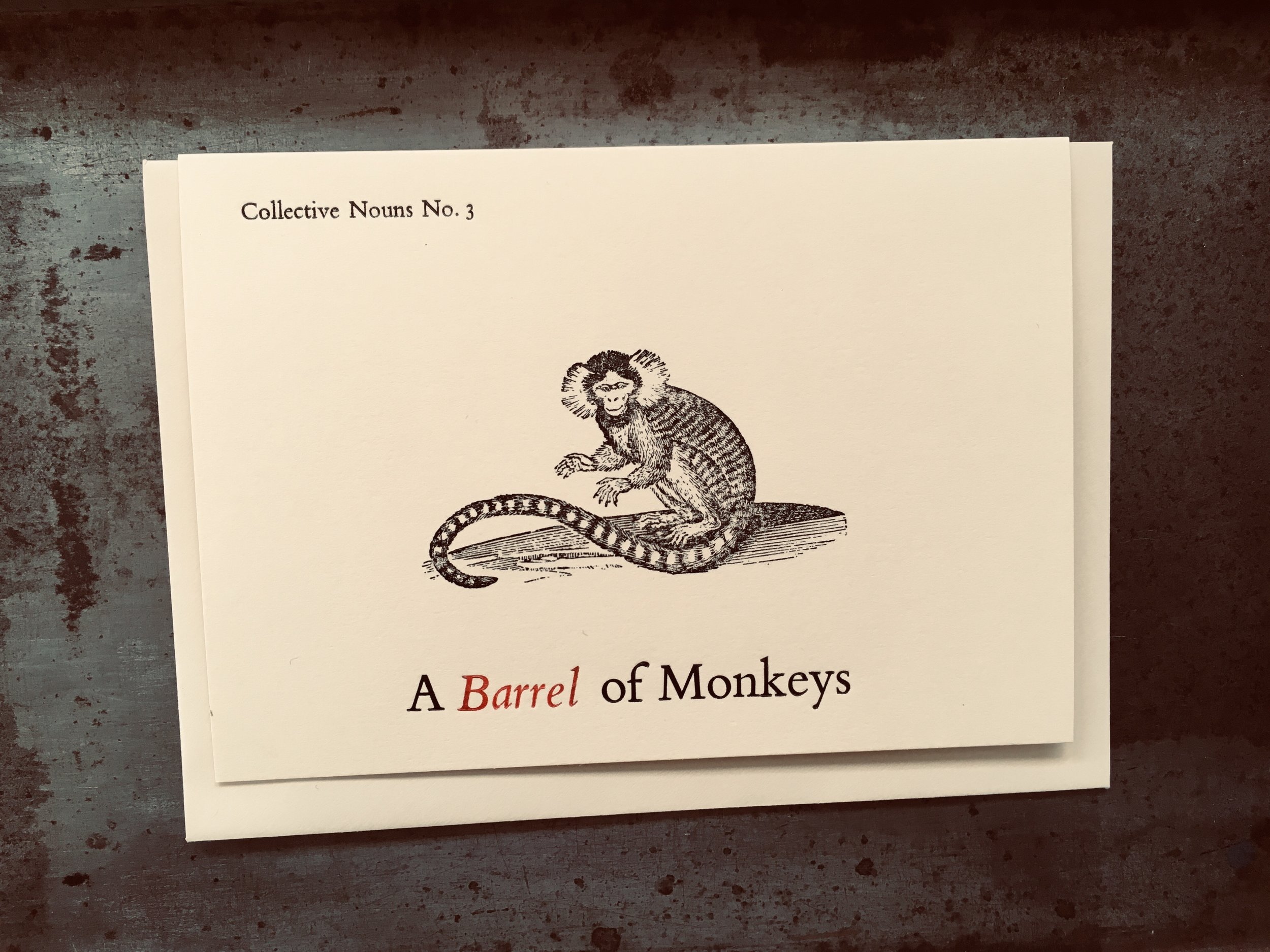 Monkey.jpeg