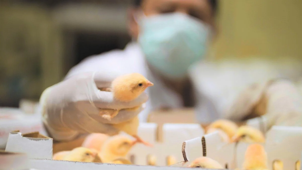 Revisi 7 VO Johnathan.00_00_22_11.Still003 (Medium).jpg