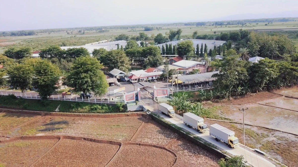 Revisi 7 VO Johnathan.00_06_02_02.Still062 (Medium).jpg