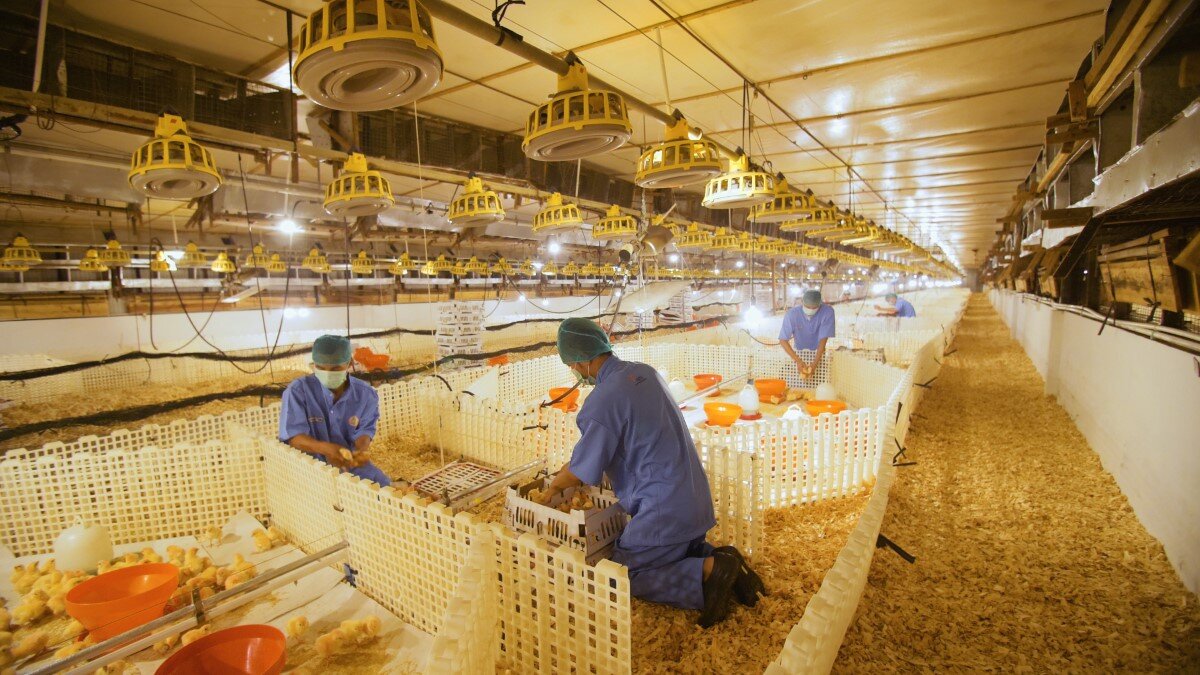 Revisi 7 VO Johnathan.00_01_28_18.Still014 (Medium).jpg