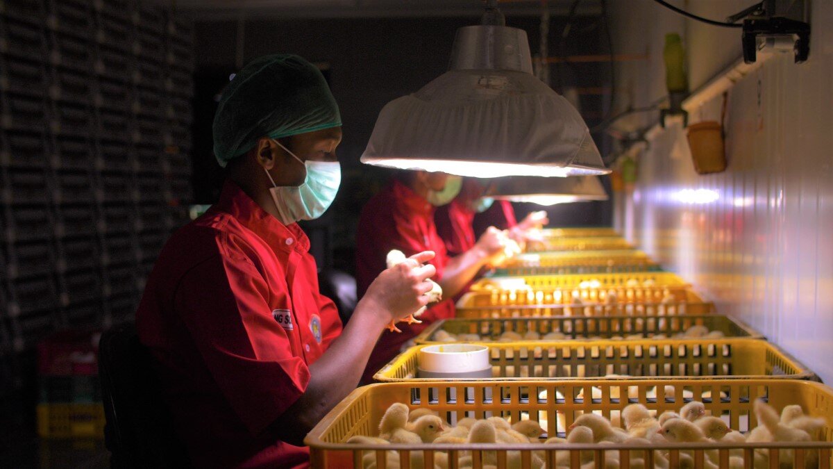 Revisi 7 VO Johnathan.00_03_13_06.Still039 (Medium).jpg