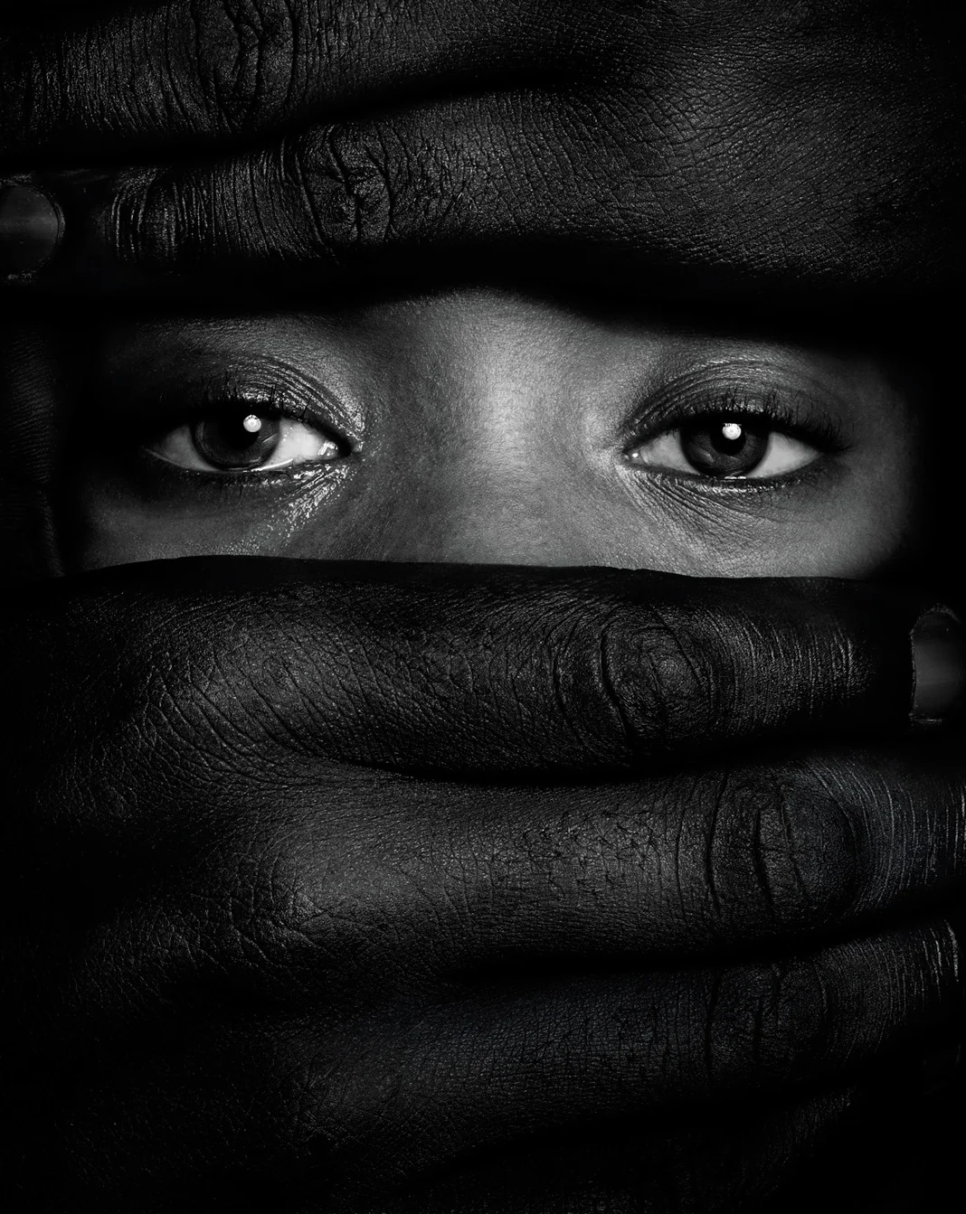 Sahara Shelter - print