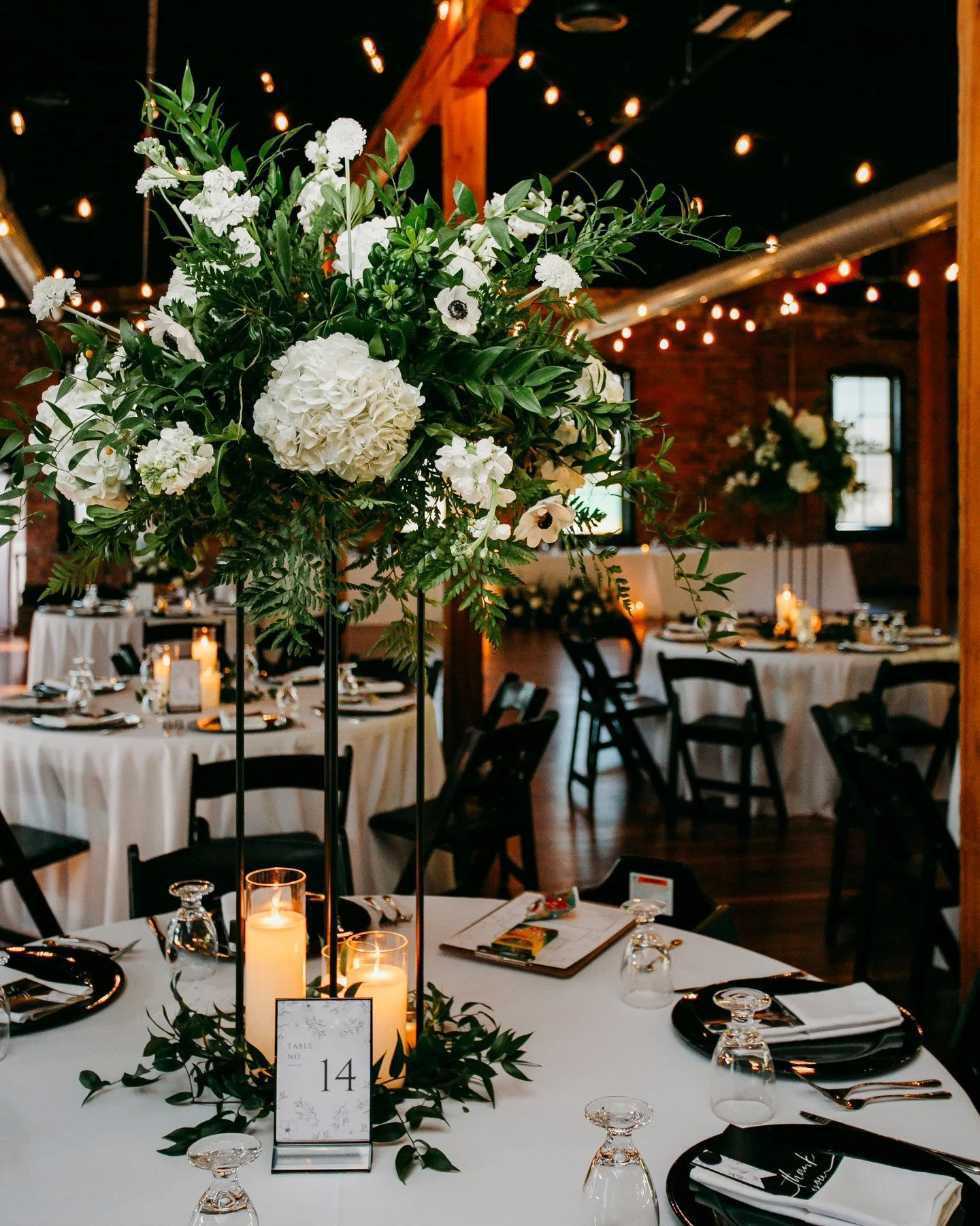 Just engaged? Welcome to the most exciting season of your life 💕

From timelines to vendor connections to calm, confident decision-making&mdash;we&rsquo;re here to make wedding planning feel joyful, not overwhelming.

Engagement season is the perfec