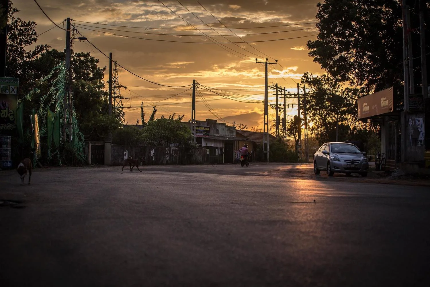Smith Art Photography - Costa Rica
