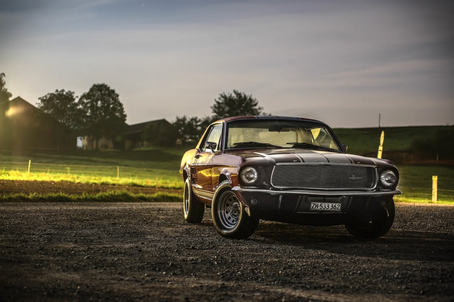 Smith Art Photography - mustang