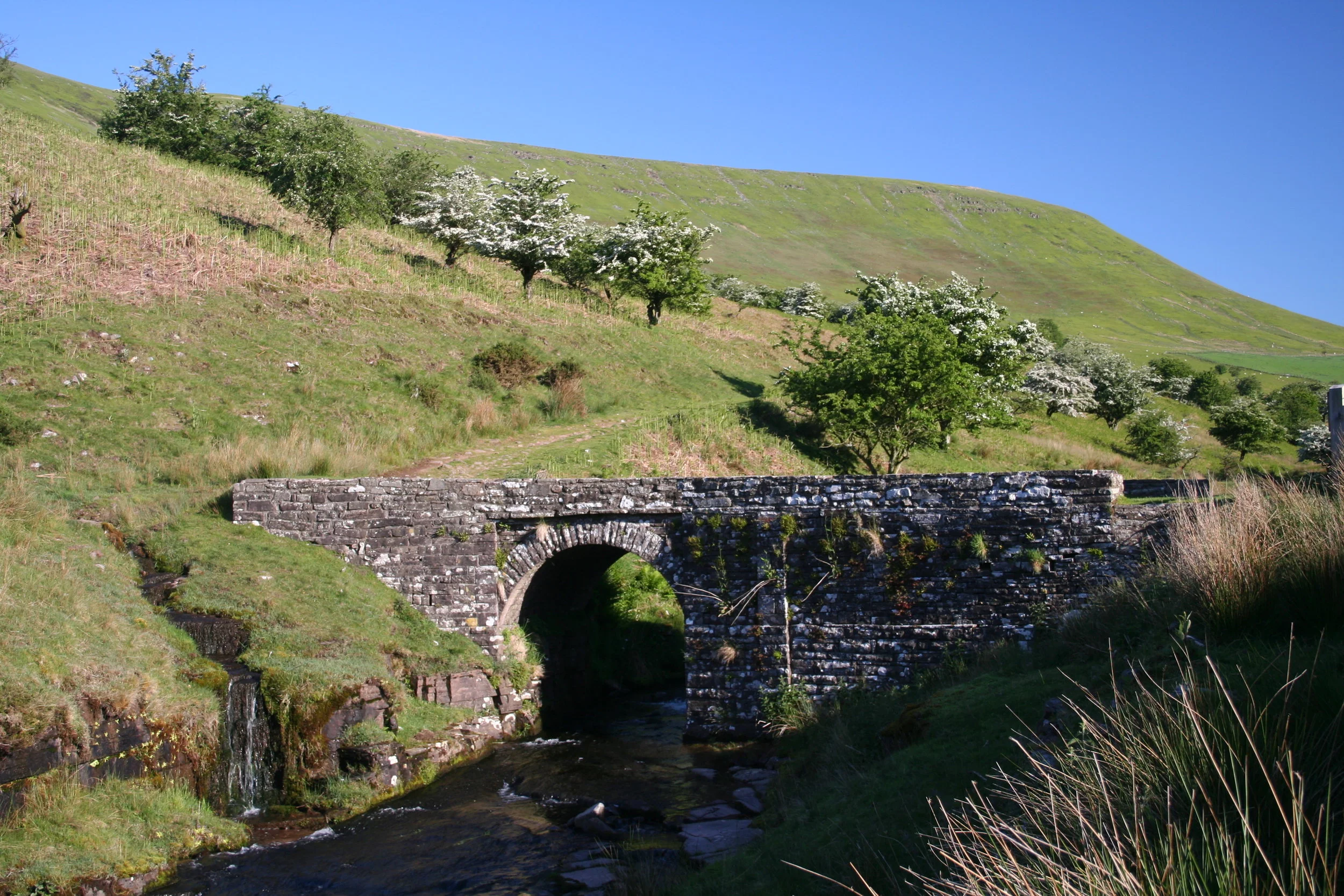 The-picturesque-Tal-y-Maes-bridge-over-the-Grwyne-Fechan.jpg