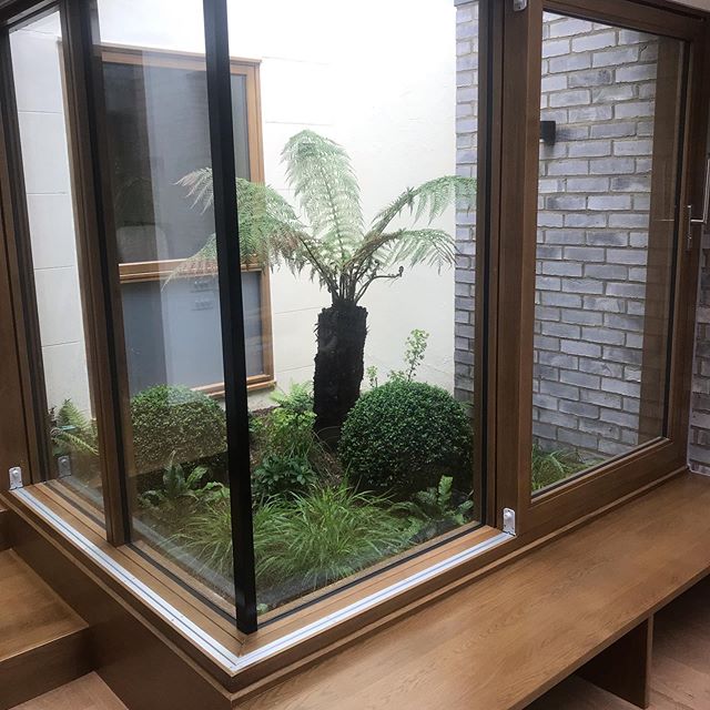 It&rsquo;s nice to see @farlie1 planted internal courtyard on our latest collaboration with @gruffarchitects come to fruition.
#brockley #buildersofinsta #architecture #landscaping #landscapingideas #openhouse