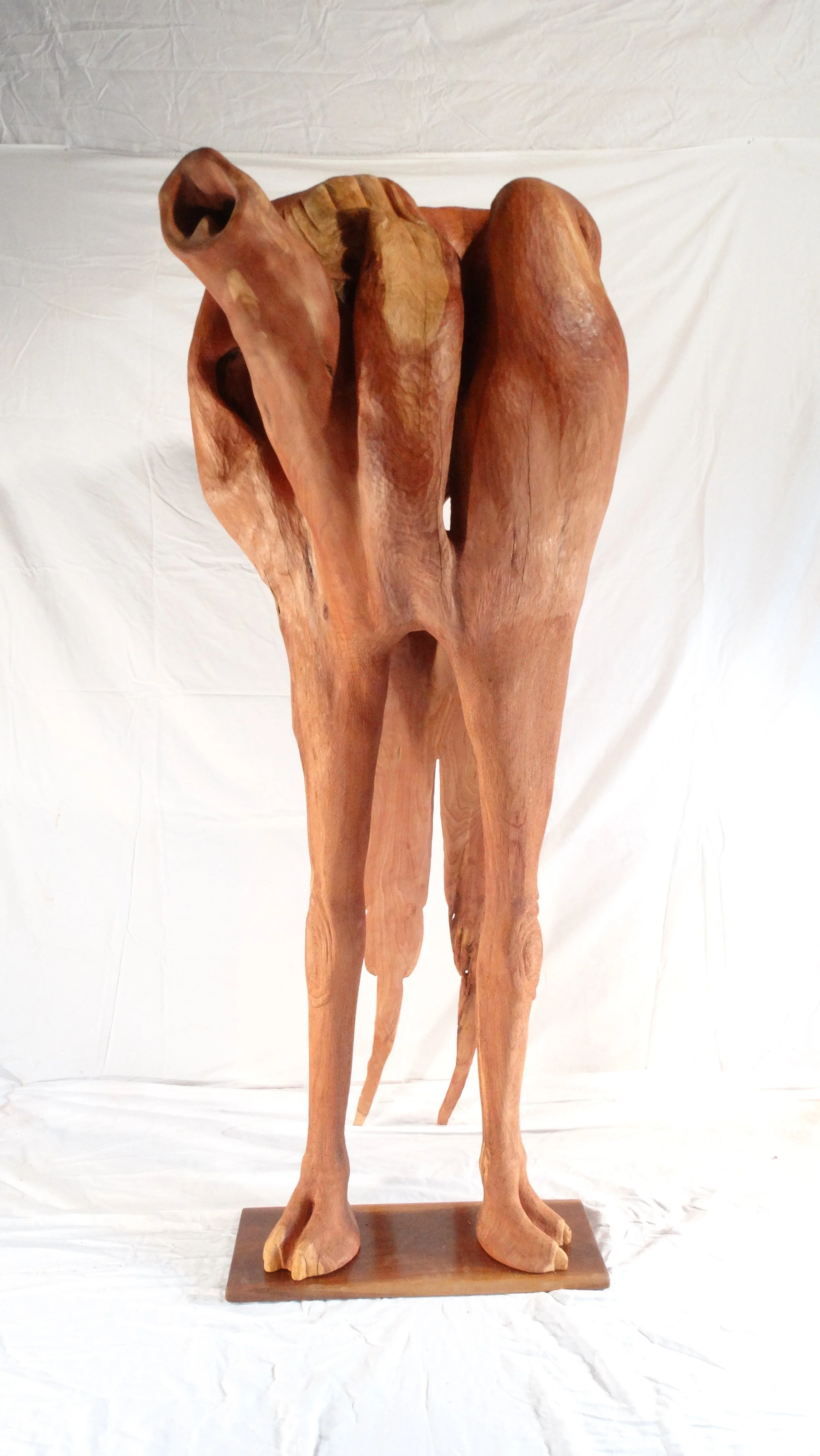His Royal Hollowness (front view)