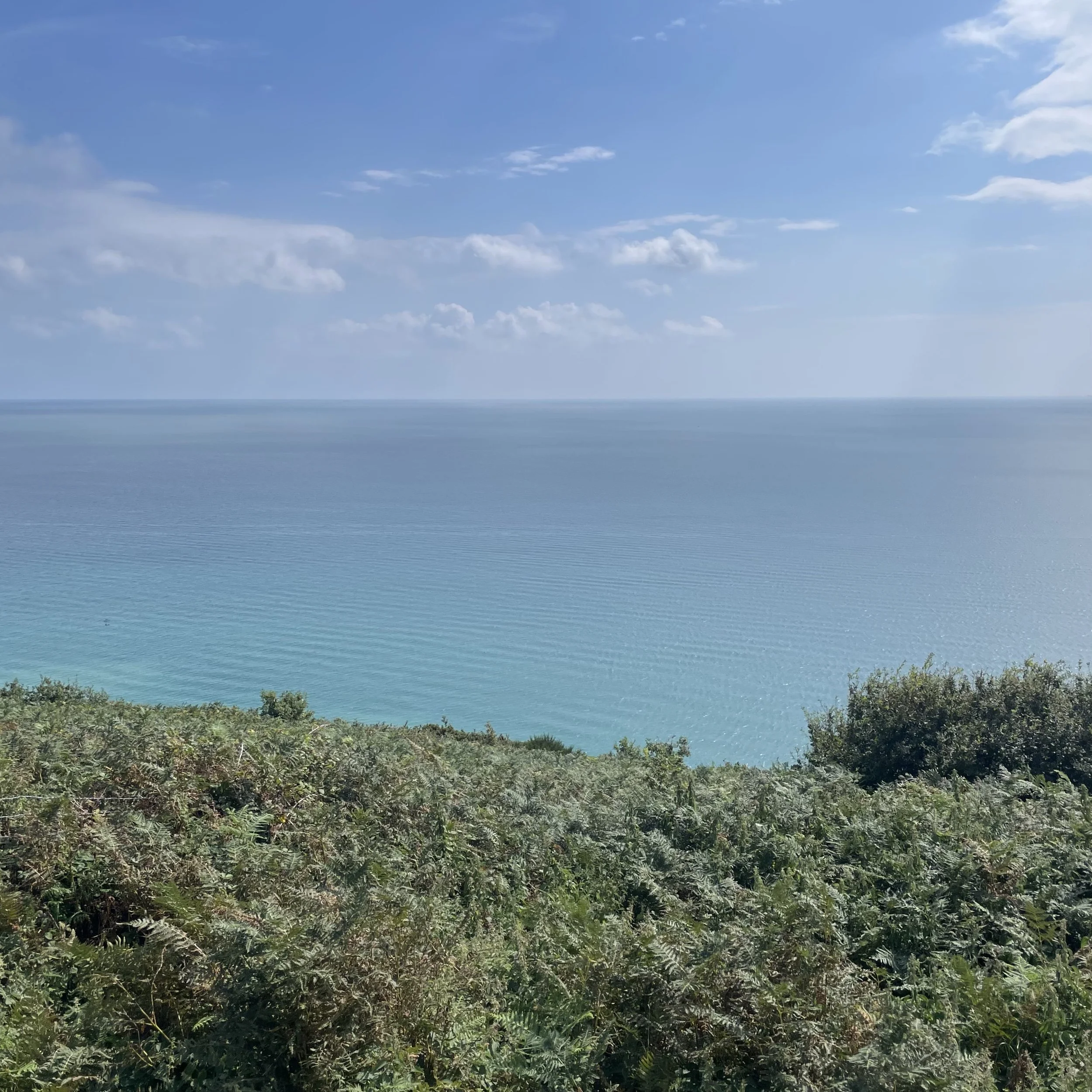 September Offer - Gentle Flow Yoga with Grace - 5 classes for £30