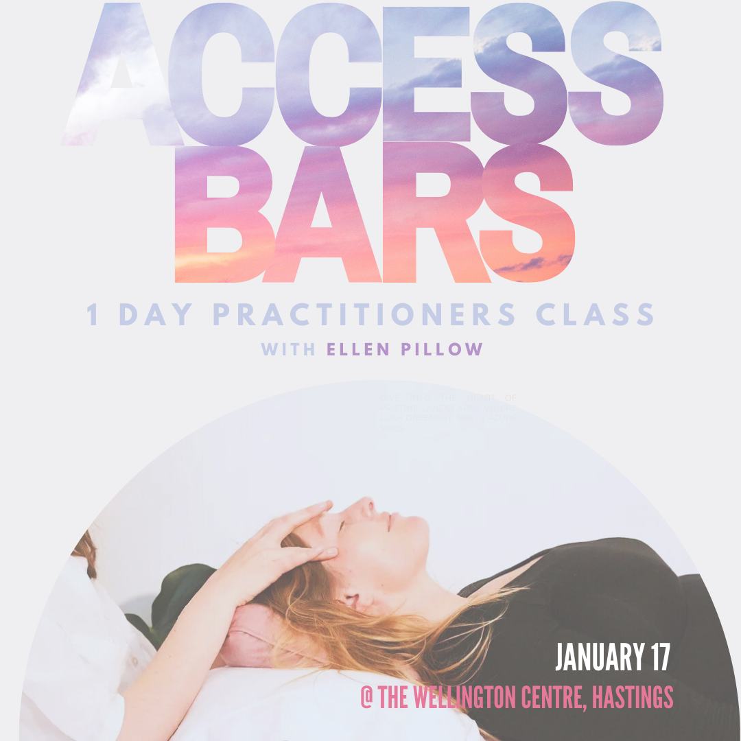 Certified Access Bars® Practitioner Training with Ellen Pillow