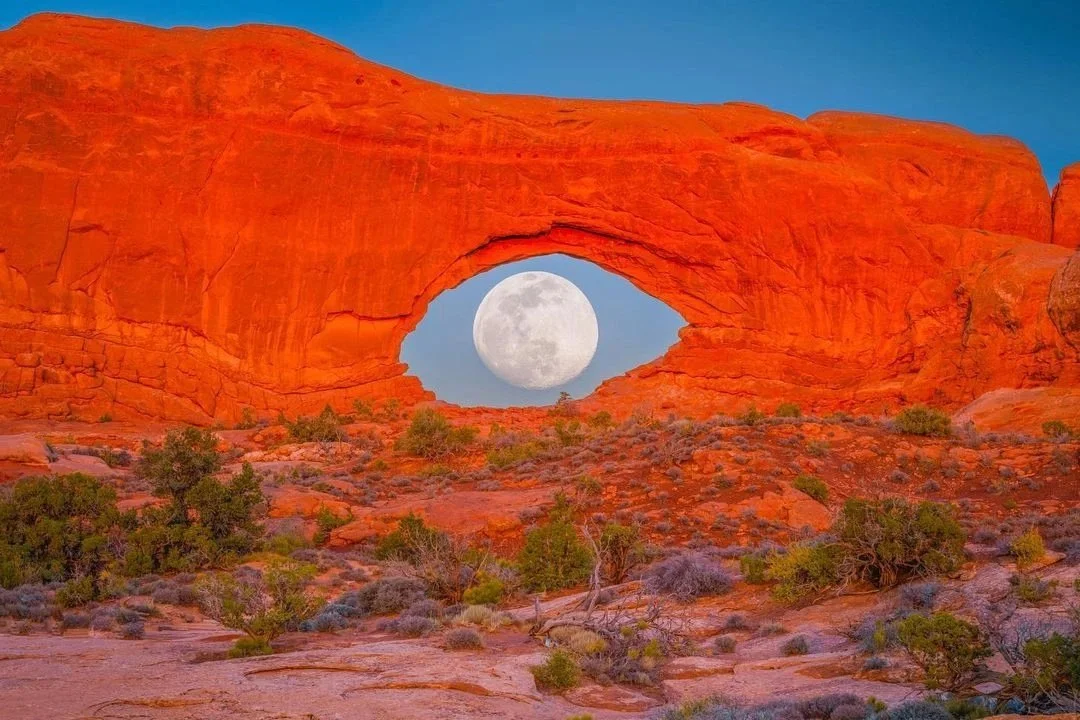 Full Moon Gong Bath:  The Aquarius Buck Moon with Tam (MADRE)