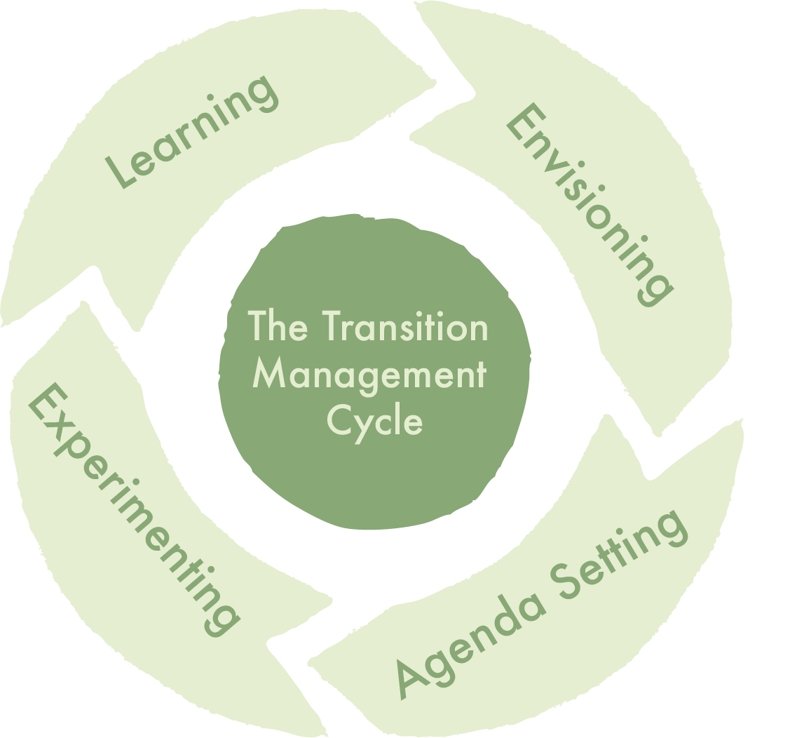 Transition Management Cycle