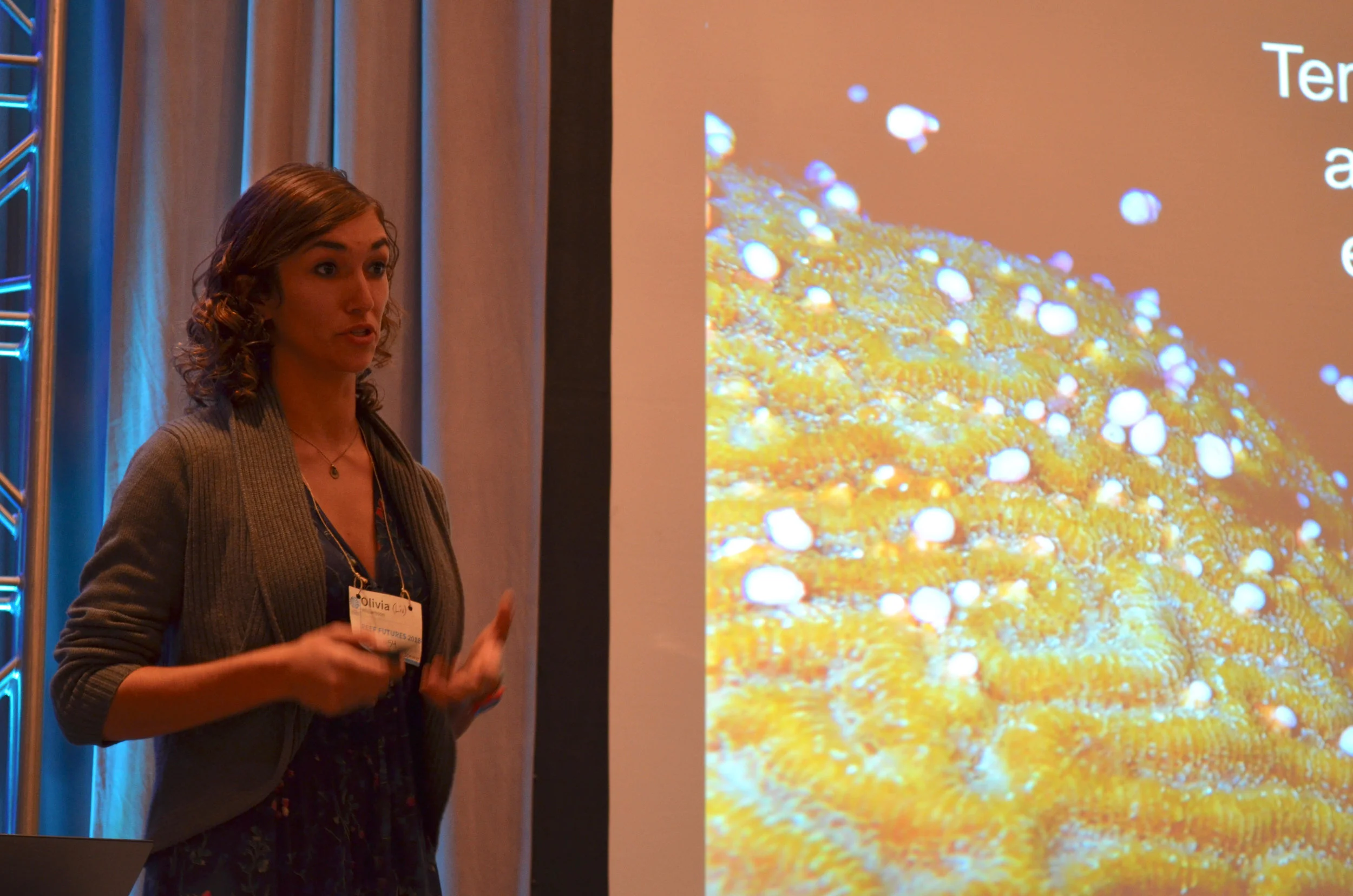 Reef Futures Symposium, 2018 Image: Daisy Buzzoni