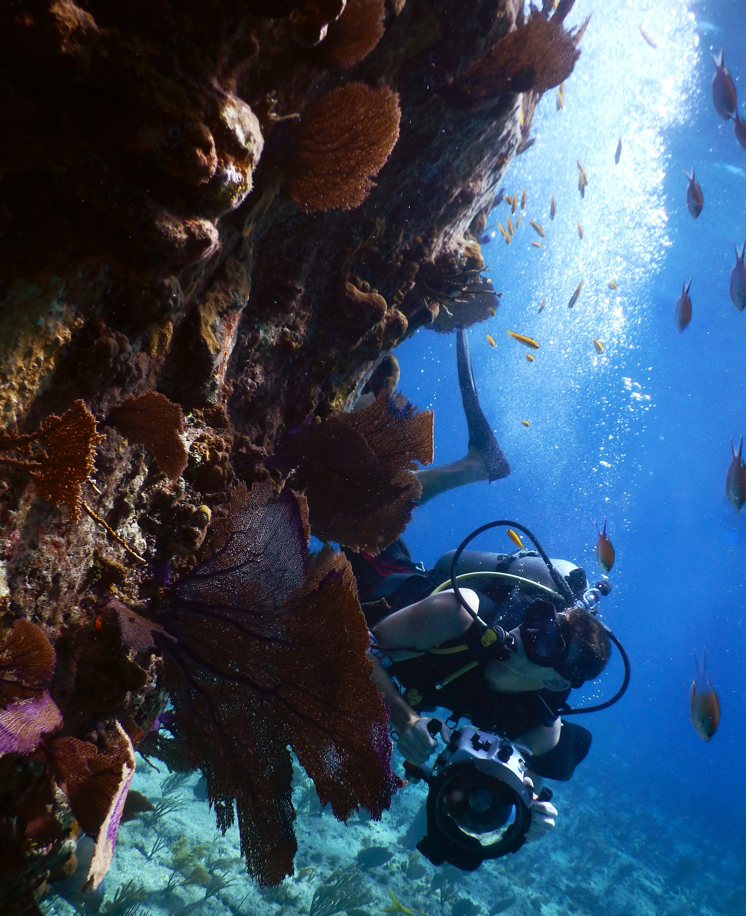 Photographer Josh Liberman checks out the marine life off the coast of Nassau.