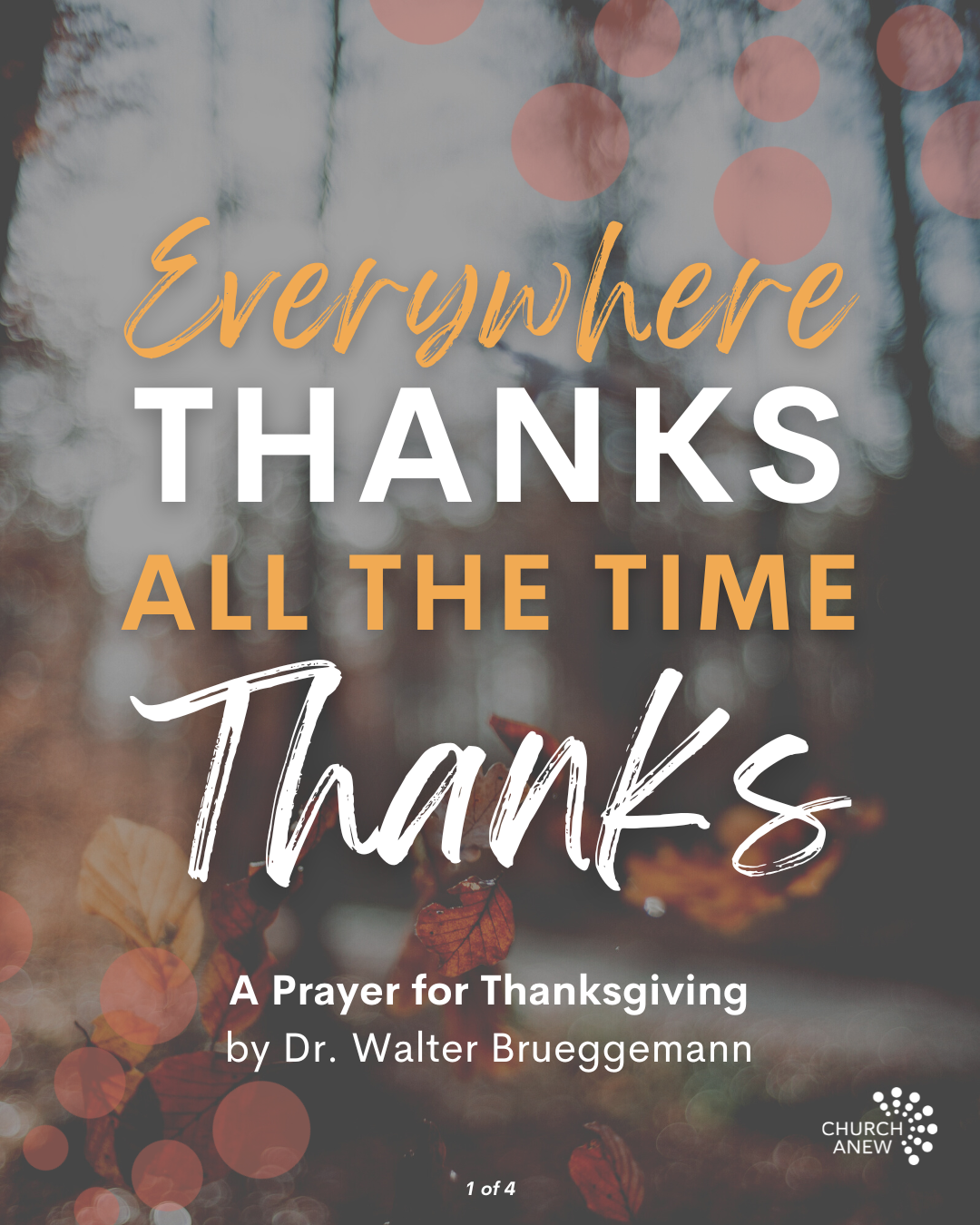 Brueggemann - Thanksgiving Prayer (1).png