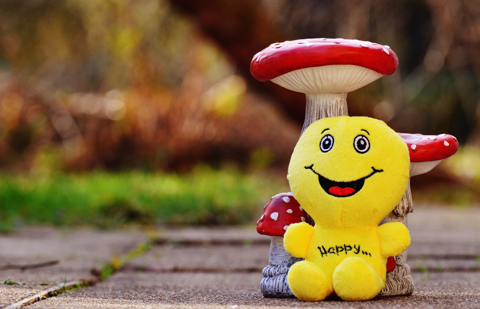 smiley-1175520_1920.jpg