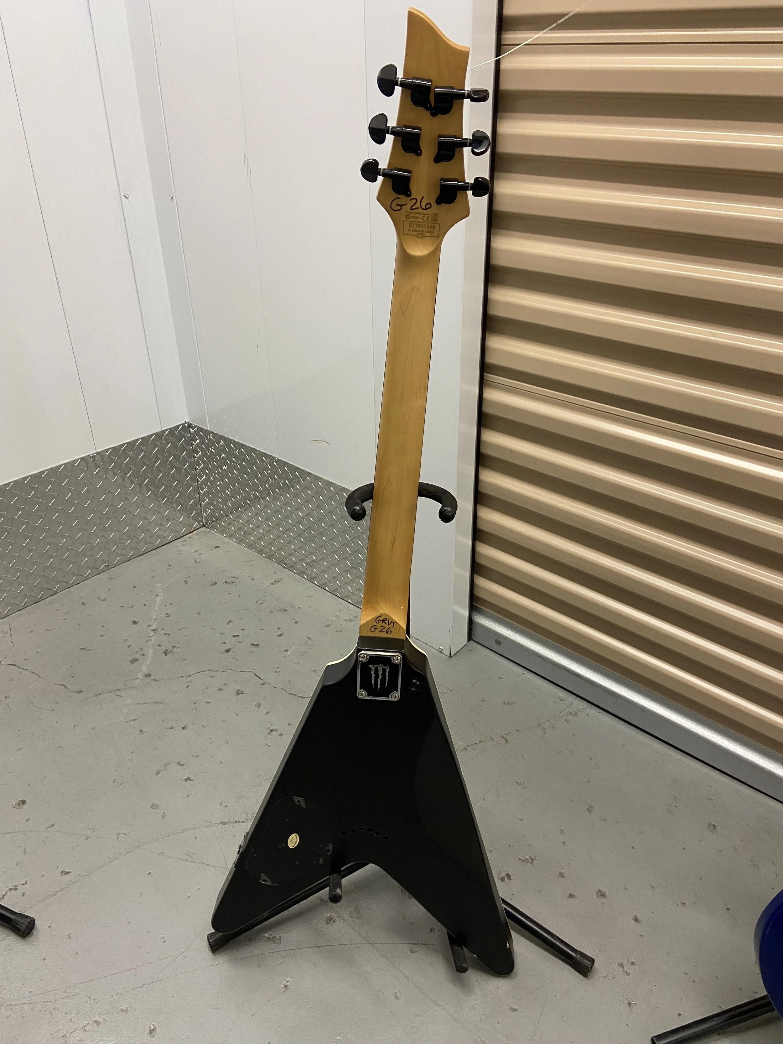 Schecter V(3).jpeg