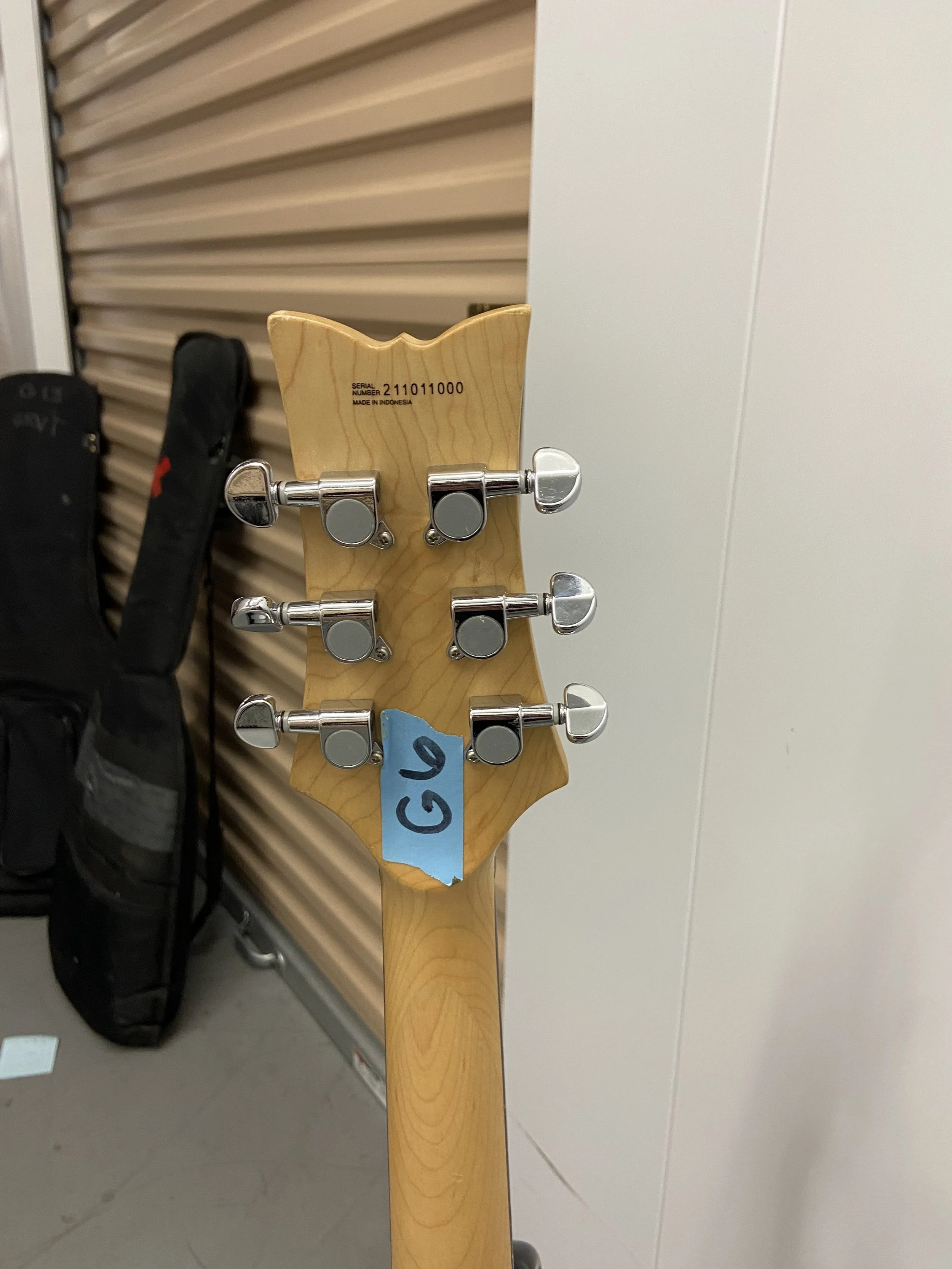 Daisy Rock Guitar 2(4).jpeg