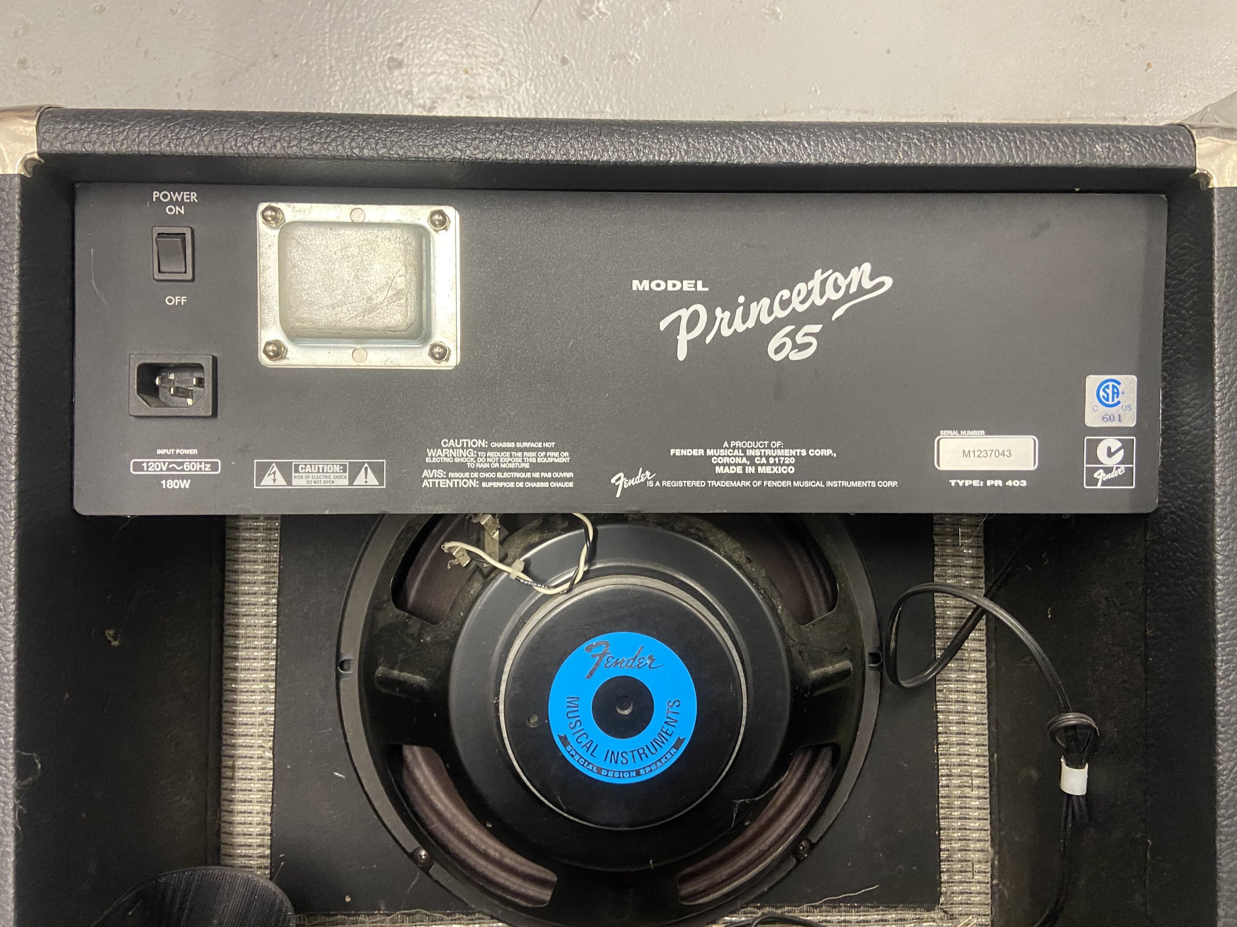 Fender Princeton 65(2).jpeg