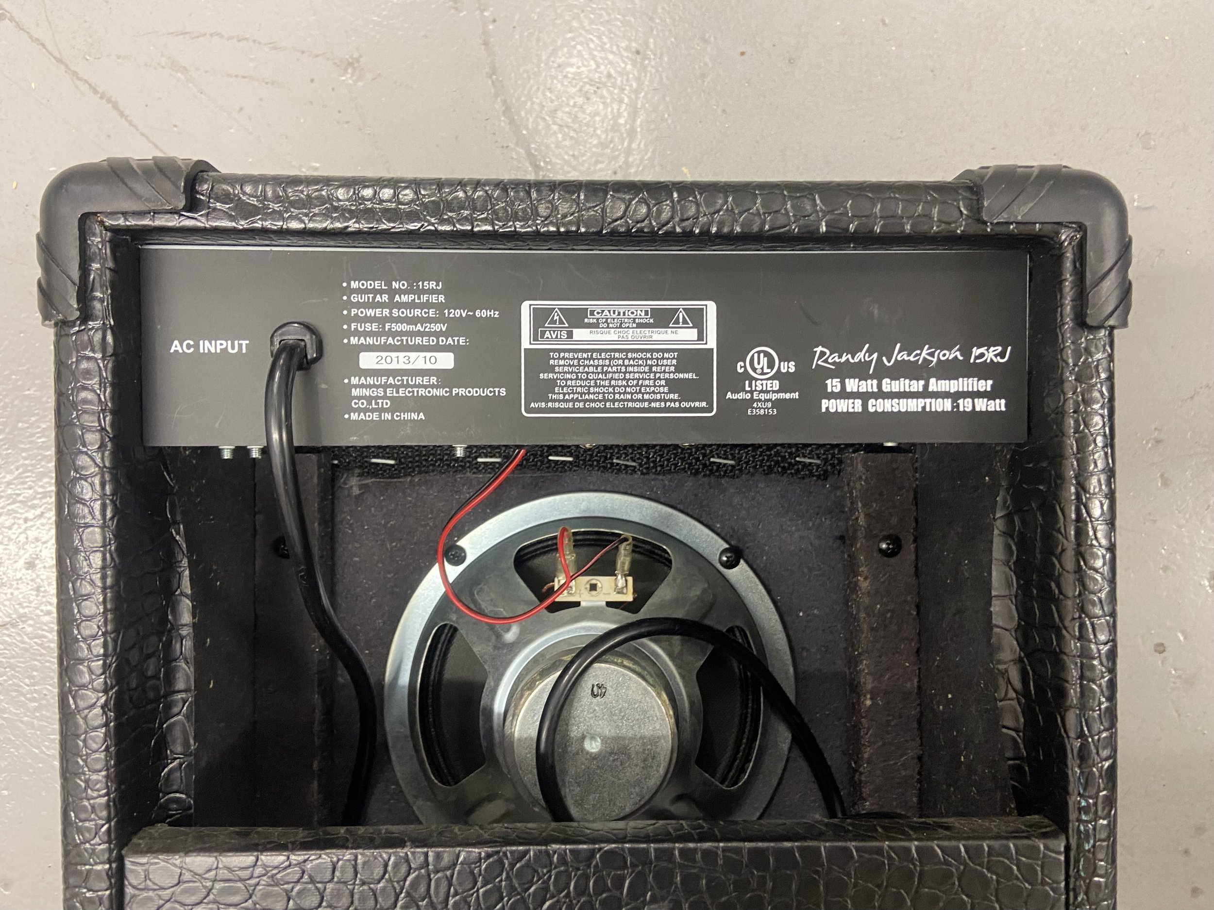 Randy Jackson(1).jpeg