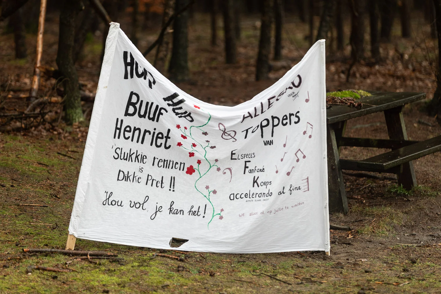 2019-Schapendriftrun-13.jpg
