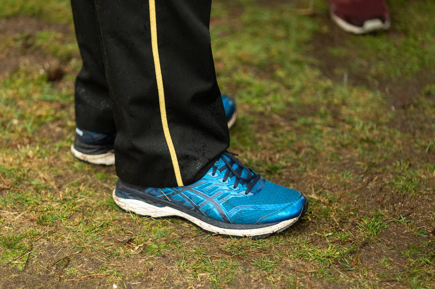 2019-Schapendriftrun-16.jpg