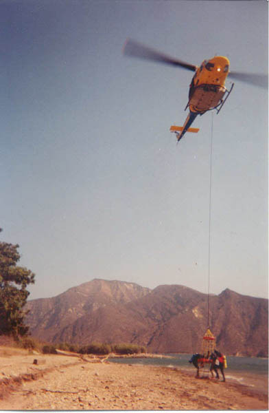 The guys exit the net easily once brought back to land