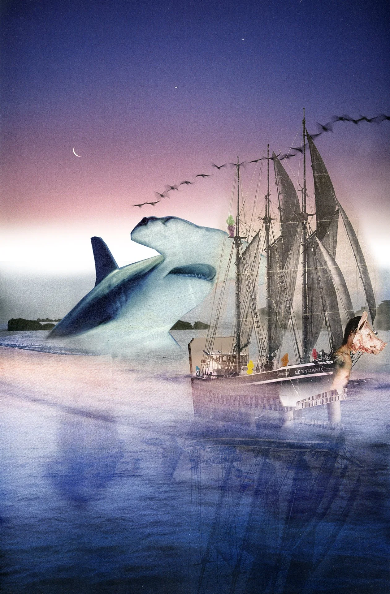 Unité fonctionnelle004 Web.jpg