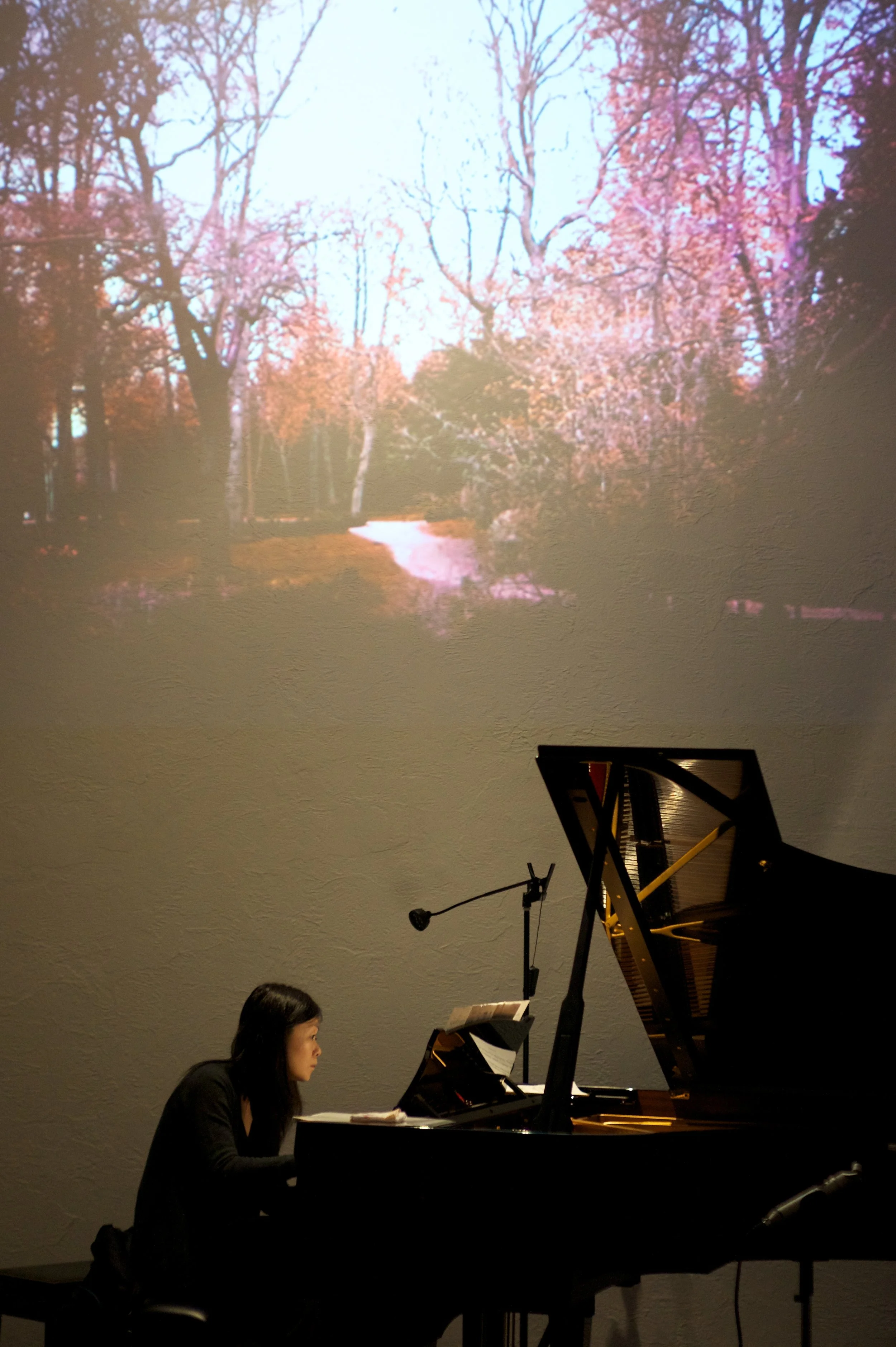 Aquarelles (2012) Music by Yuriko Kojima, for piano. Live-video by Elaine Thomazi Freitas. World premiere .