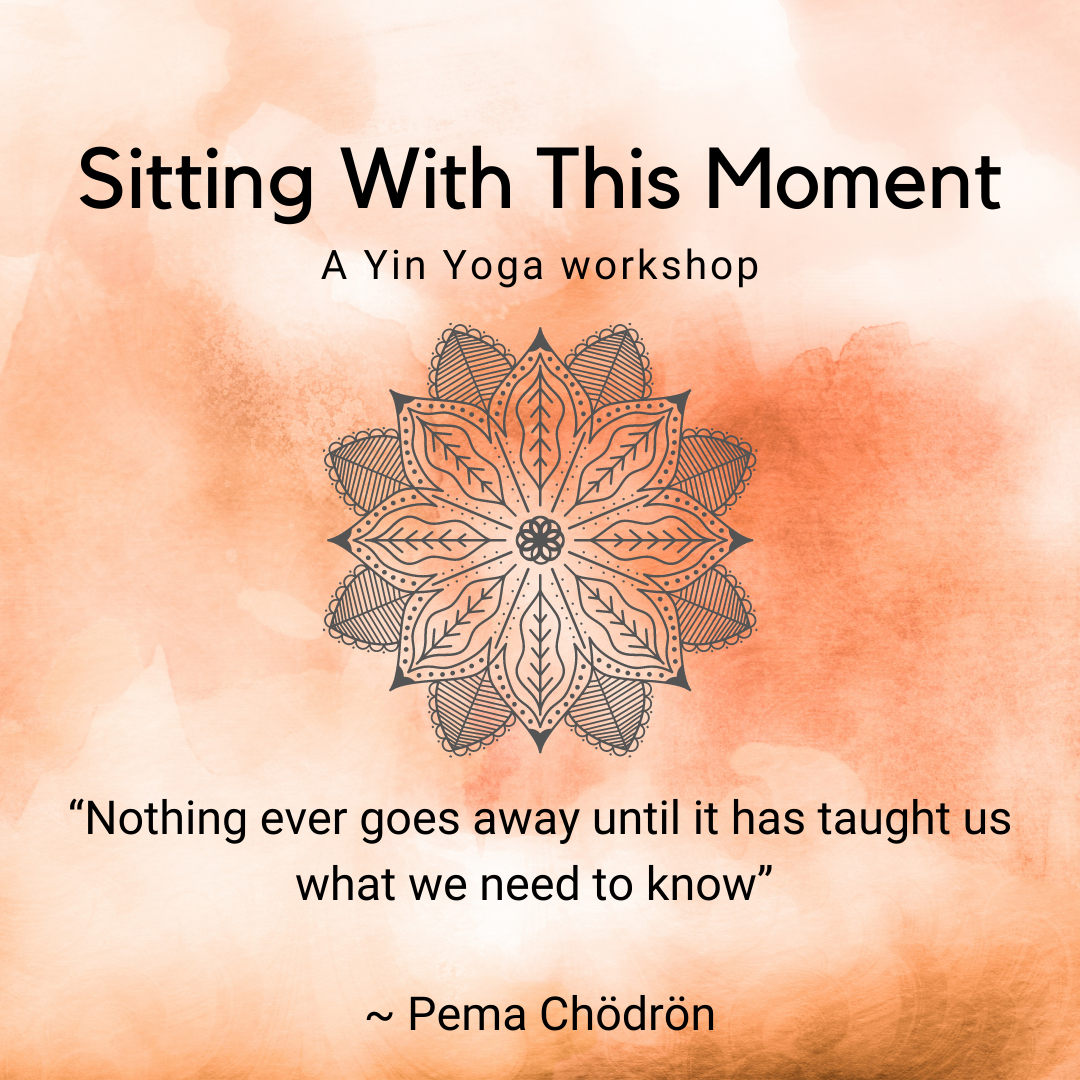 In Person: Sitting With This Moment |  A Yin Yoga Workshop   