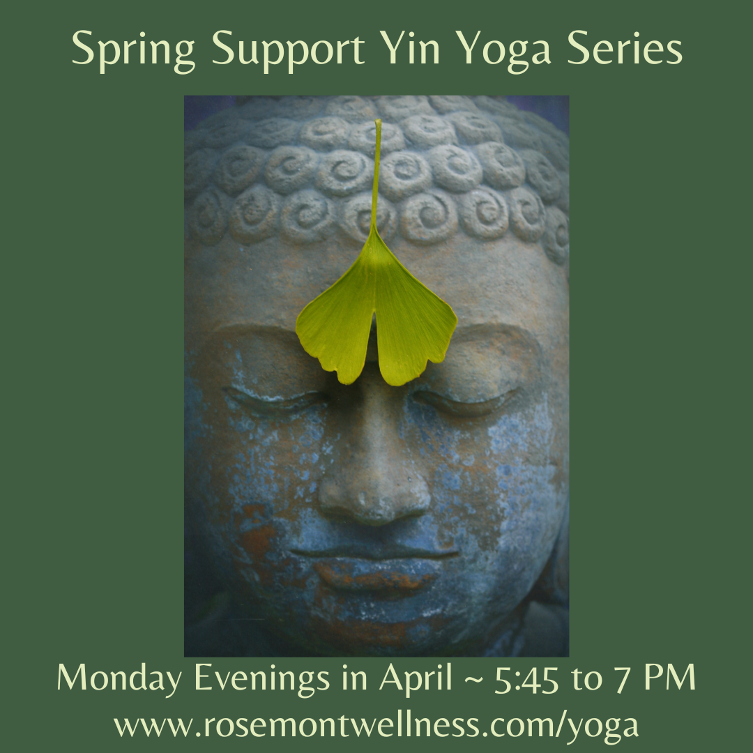 Spring Support Yin Yoga Series