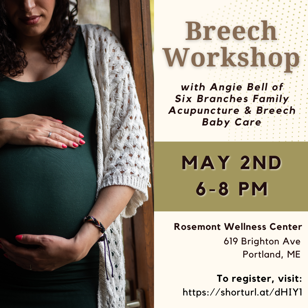 Breech Baby Workshop