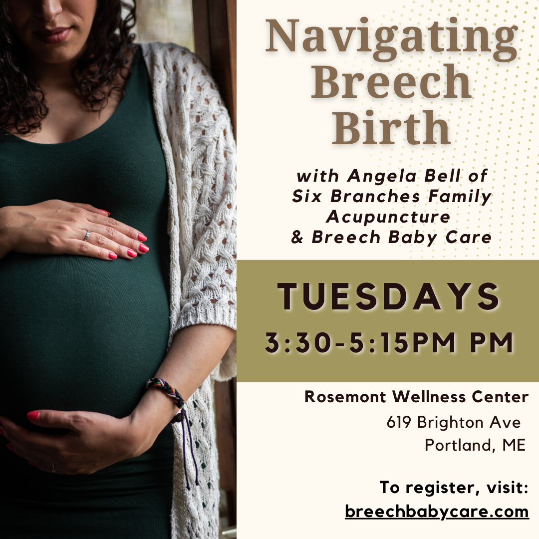 Navigating Breech Birth Workshop