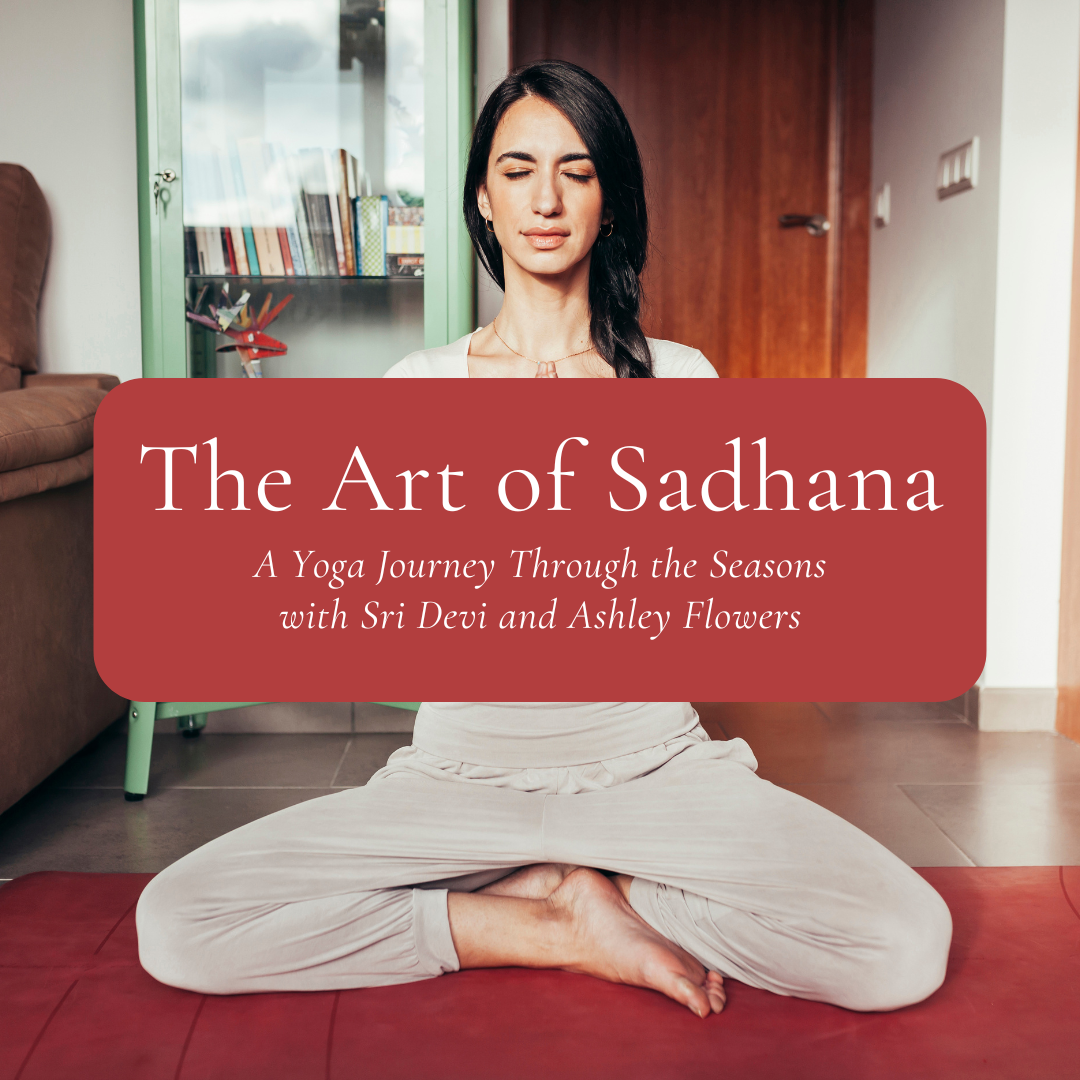 The Art of Sadhana | A Journey To the Self, Through the Seasons