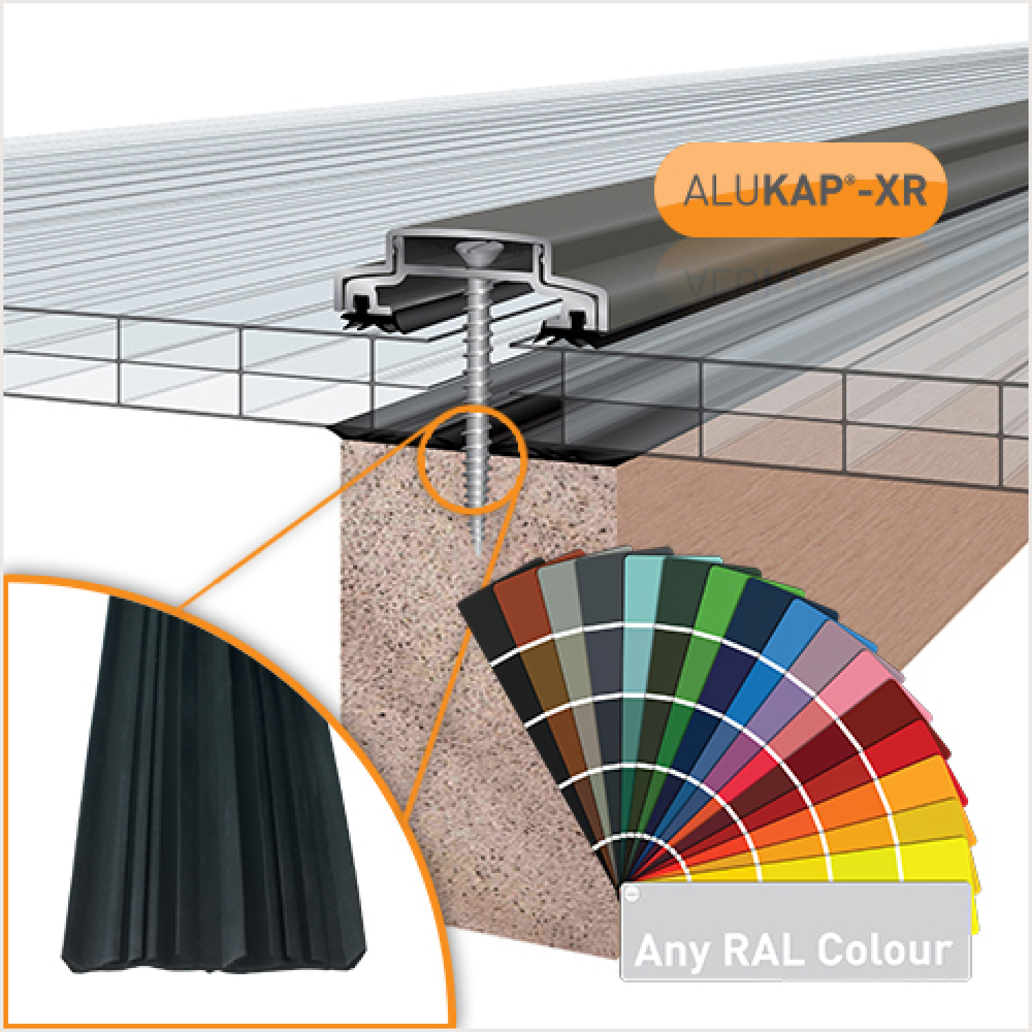 THUMBNAIL ALUKAP -XR.png