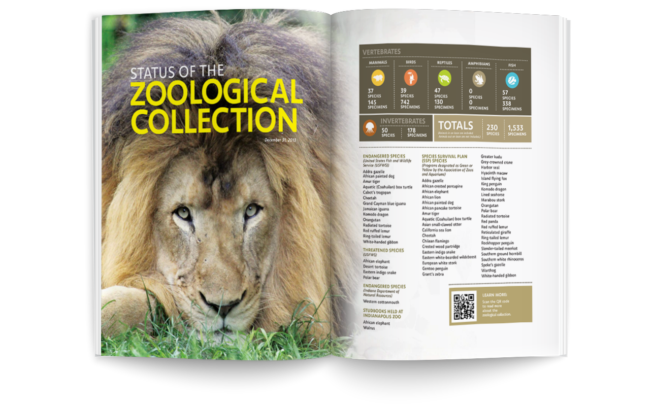 2013_Zoo_Annual_Report_Spread_4_Web_Mock.png