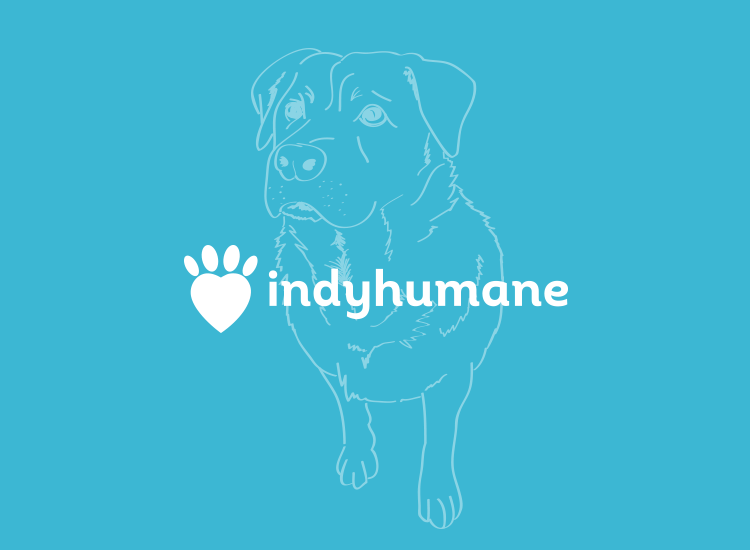 IndyHumane_Title_Tile.png