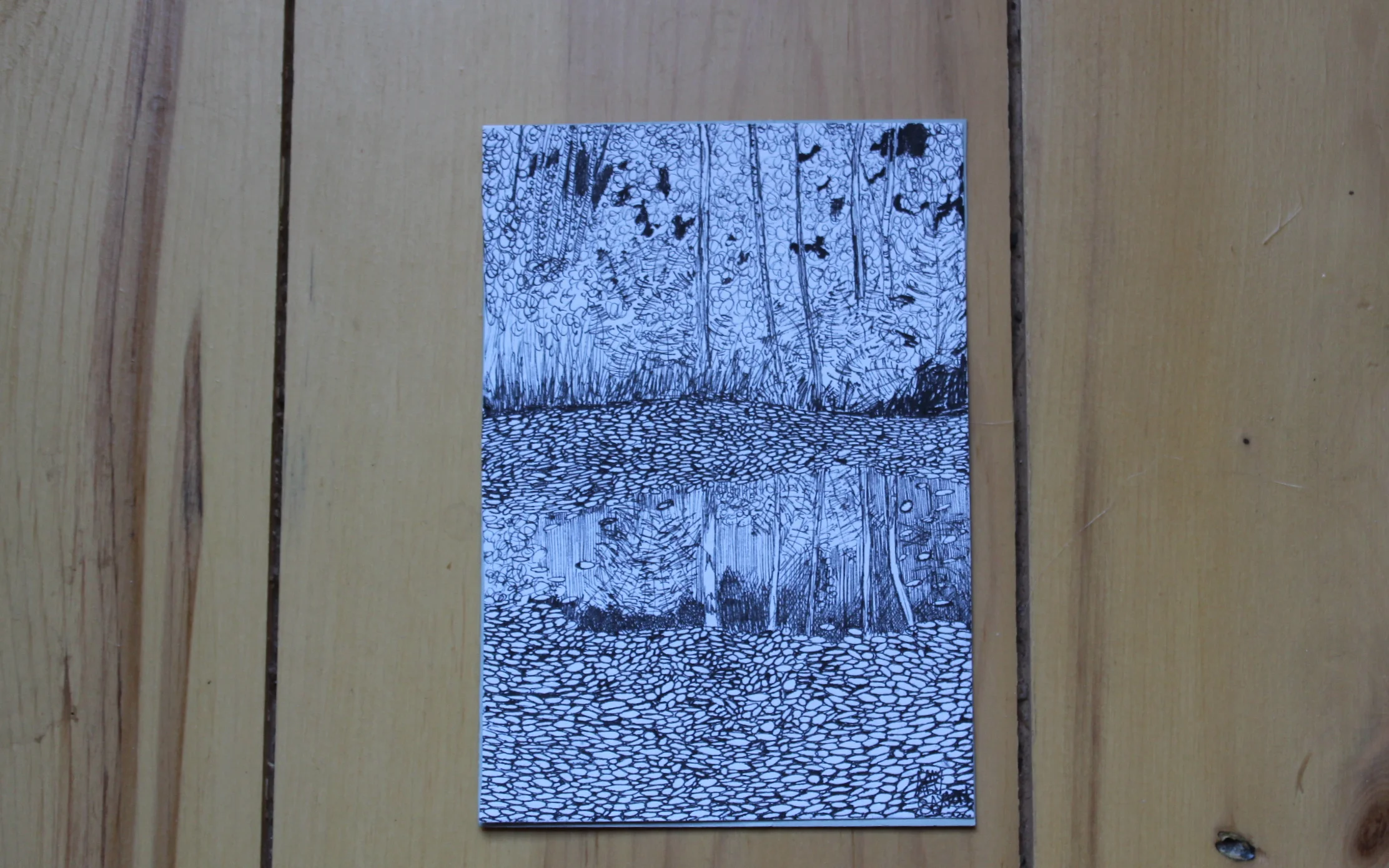 Frog Pond Reflection