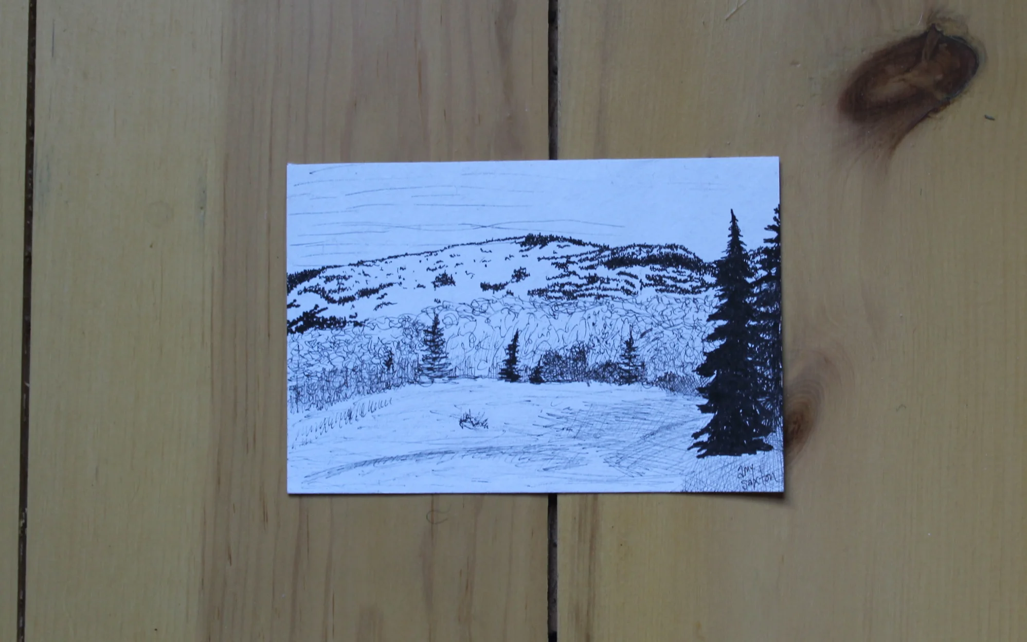 Blueberry Trail, Wentworth