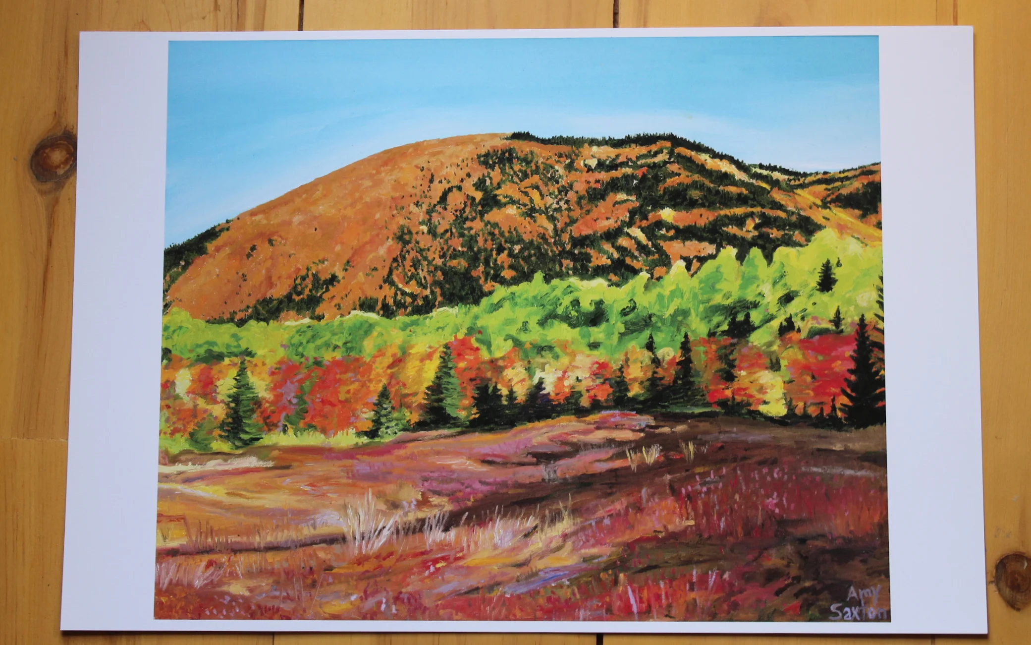 Blueberry Trail