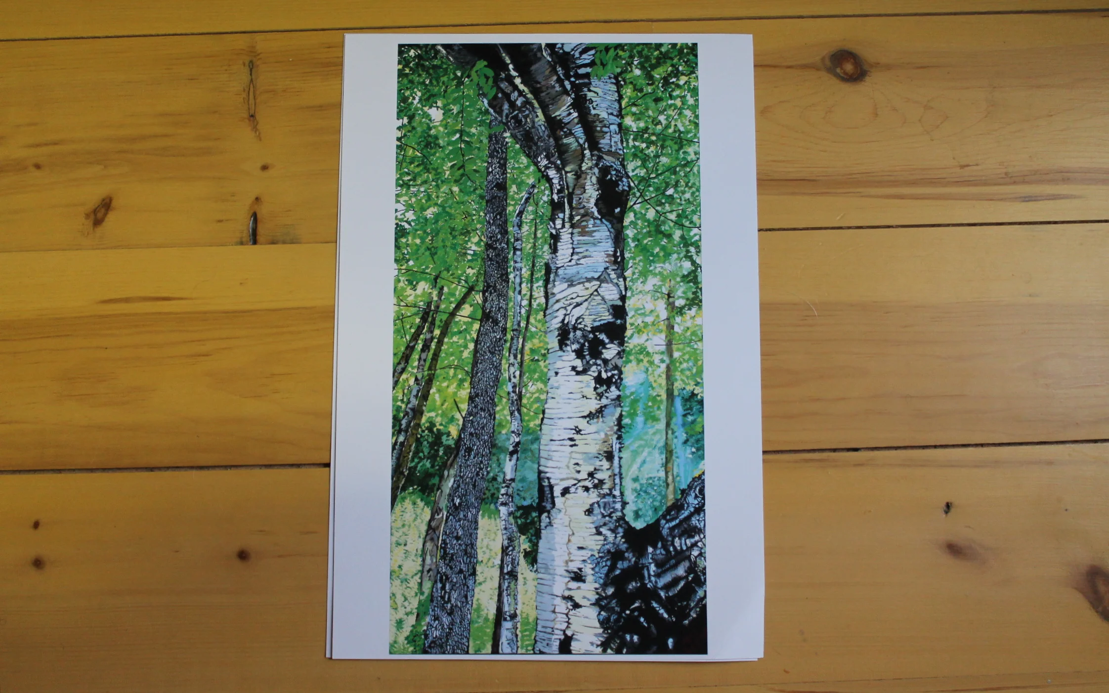 Birch on the Wallace River