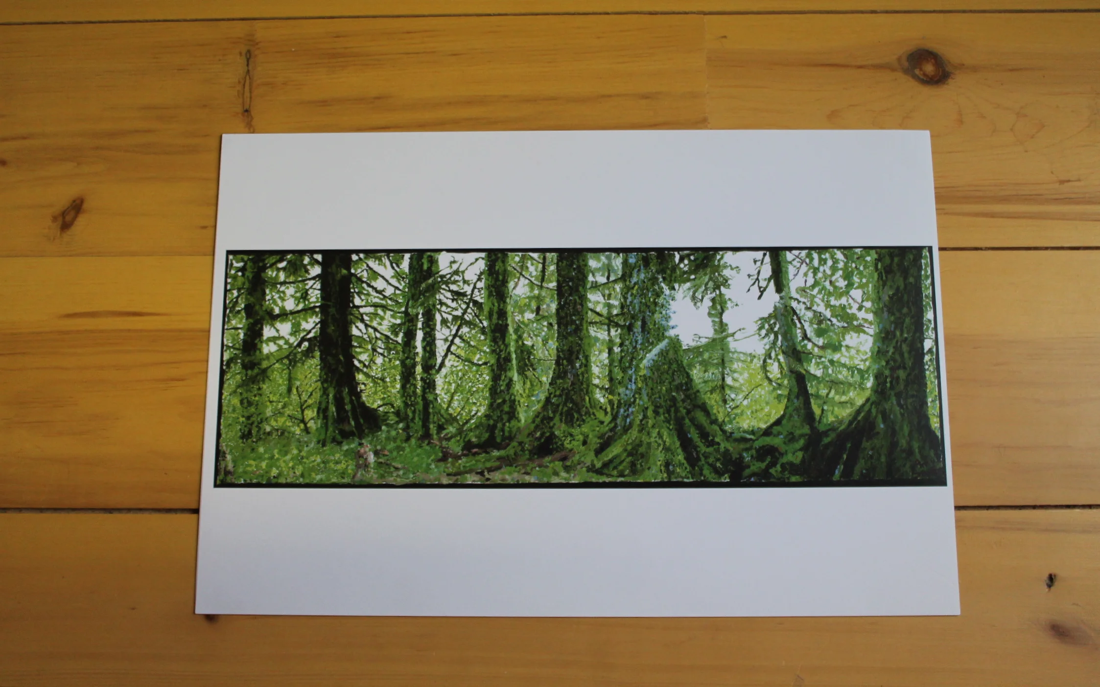 Nurse Tree, Hall of Mosses