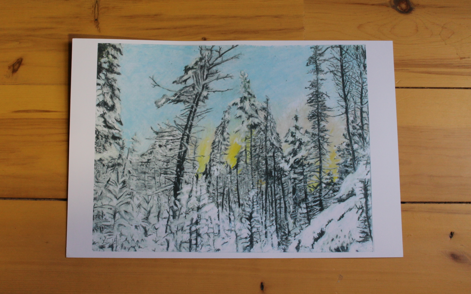 Victoria Park in the Winter