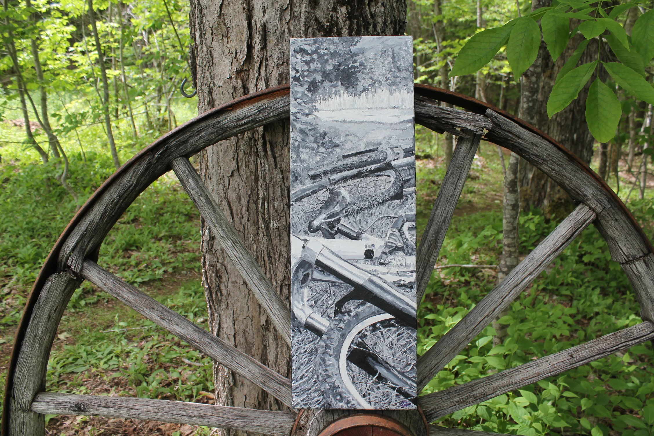 Mountain Bike Break, 2014