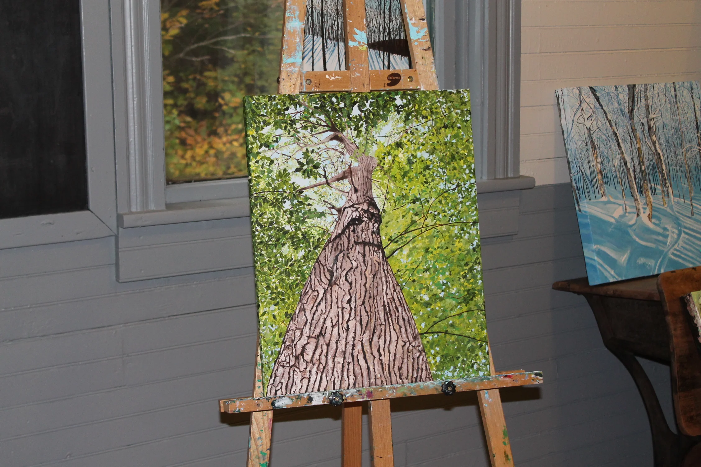 Woodville Mountain Ash