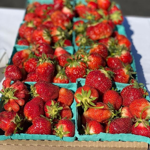 Local Strawberries from @mendonacresfarm 🍓 #junemenu #strawberries #rochesterny #summereats
