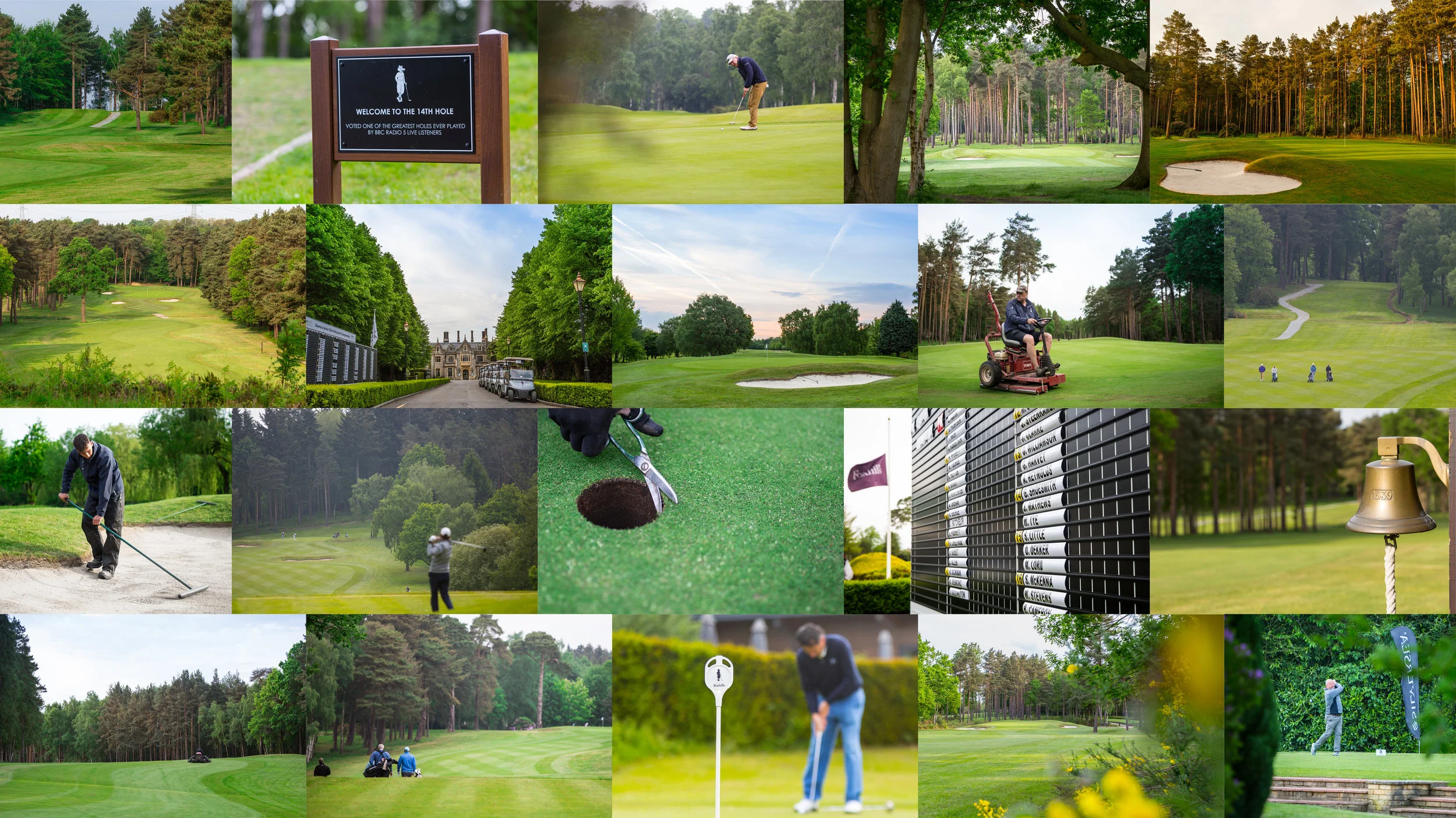 Foxhill.jpg