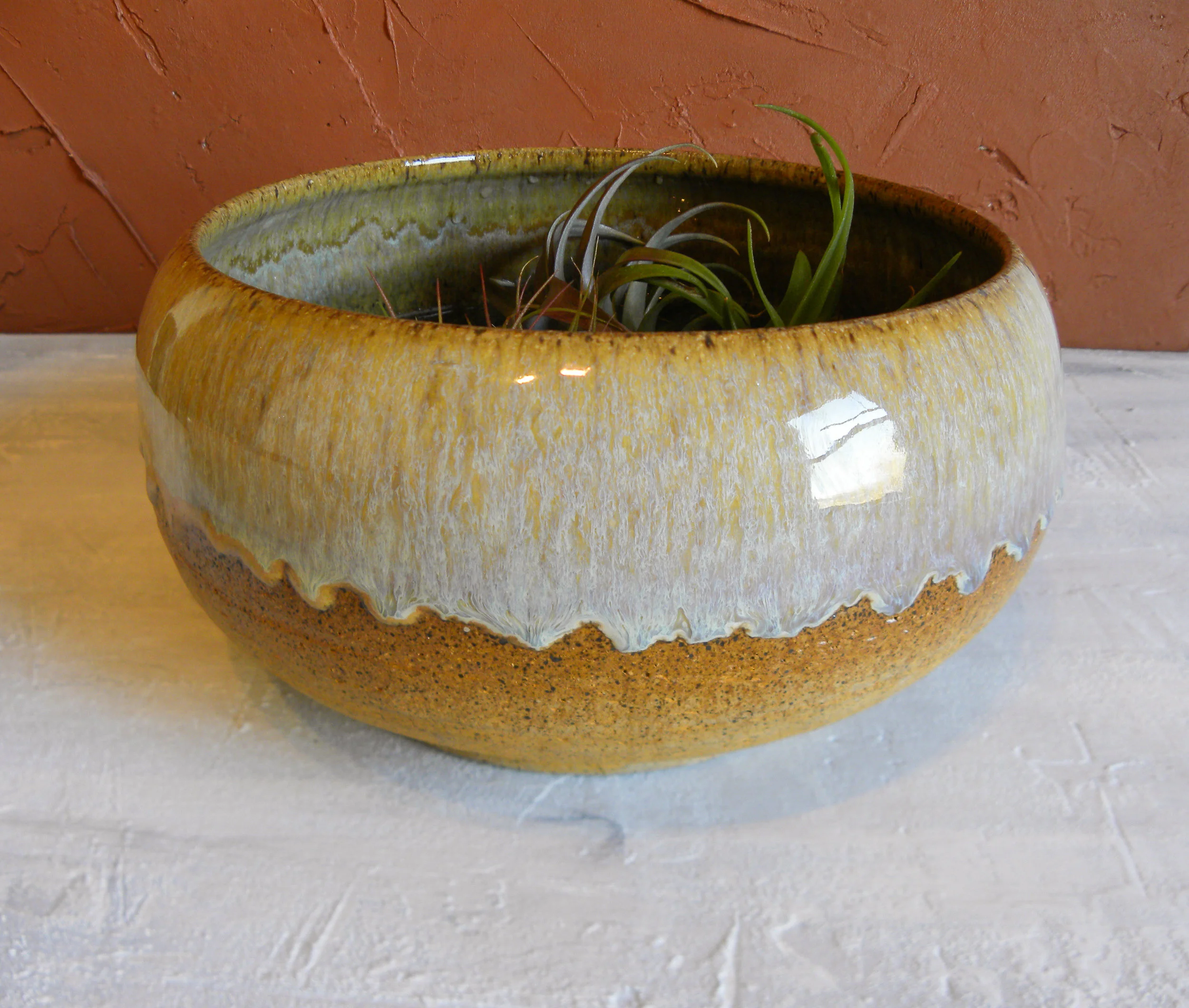 DSCN9220.jpg