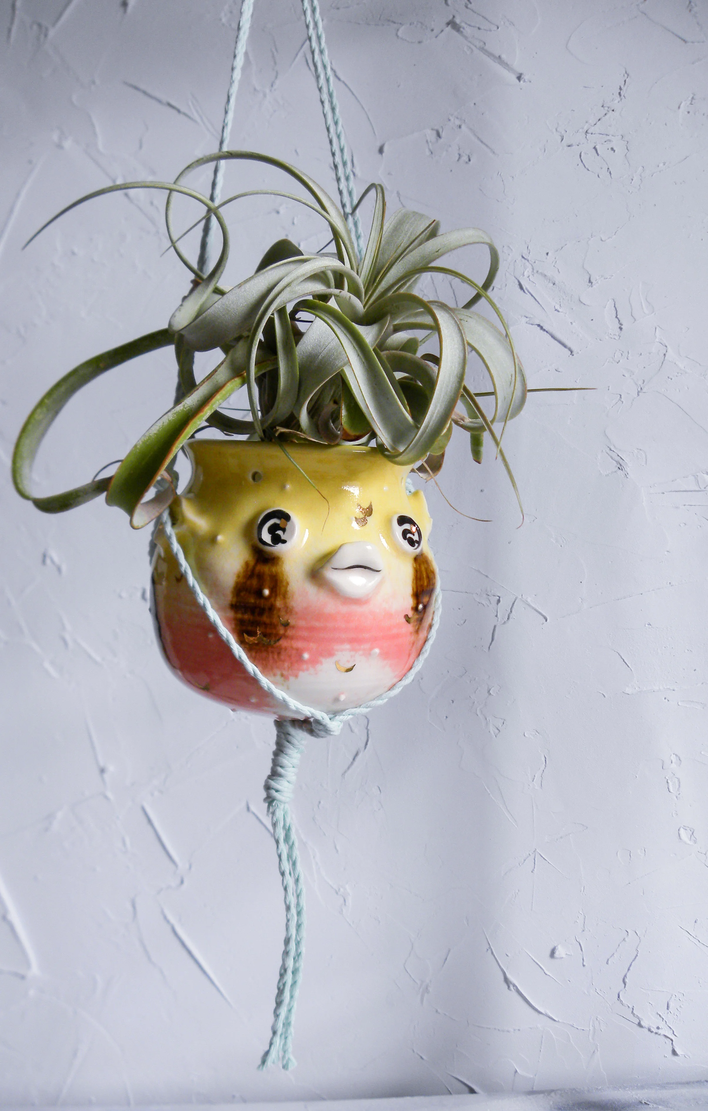 DSCN9236.jpg